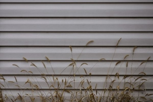 Siding, plastic panels texture closeup in the daytime outdoors